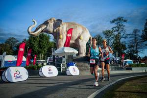 BIB: 
                            <button type="button" onclick="openModal(26541645)" class="btn btn-primary btn-sm float-right btn-popup" data-toggle="modal" data-target=".modal-high-quality">
                        <i class="fas fa-shopping-cart"></i> Add to Cart
                    </button>
                                            <button type="button" onclick="isThisMe(26541645, true)" class="btn btn-success btn-sm float-right btn-popup btn-isme hidden" data-toggle="tooltip" data-placement="bottom" title="นี่คือรูปของคุณใช่ไหม คลิกที่นี่เพื่อเอาเข้าอัลบั้ม">
                        <i class="fas fa-plus"></i> Add to album
                    </button>
                    <button type="button" onclick="isThisMe(26541645, false)" class="btn btn-warning btn-sm float-right btn-popup btn-isnotme hidden">
                        <i class="fas fa-ban"></i> Remove from album
                    </button>